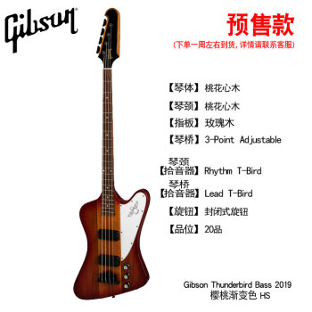 GibsonギブソンSG雷鳥Standard/Les Paul Junior Tribute電贝司Thunder bird Bass 2019 HS