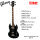 SG Standard Bass 2019 EB